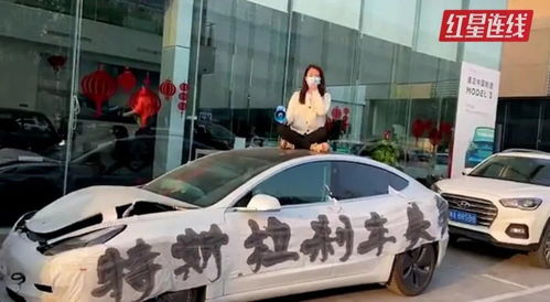 特斯拉的公关哲学 水泥车碾过的舆论战场与销售逻辑